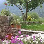 Il Pesco - Cir 0024 *