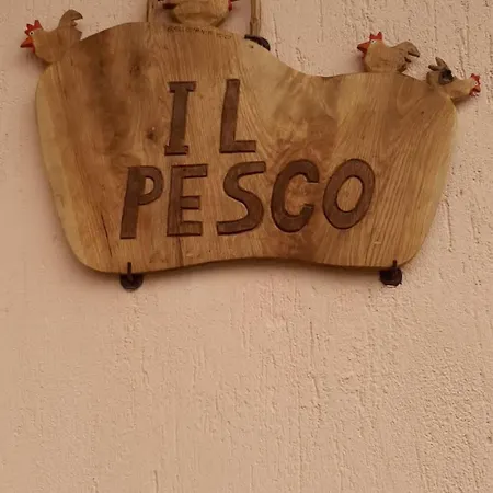Il Pesco - Cir 0024 Nus