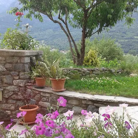 Il Pesco - Cir 0024 *