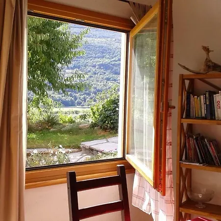 Il Pesco - Cir 0024 * 누스