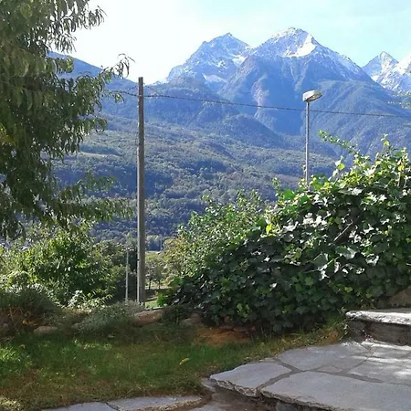 Il Pesco - Cir 0024 * 努斯