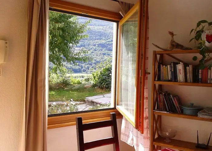 Il Pesco - Cir 0024 * Нюс